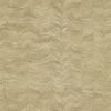 Jaipur Plain 311729